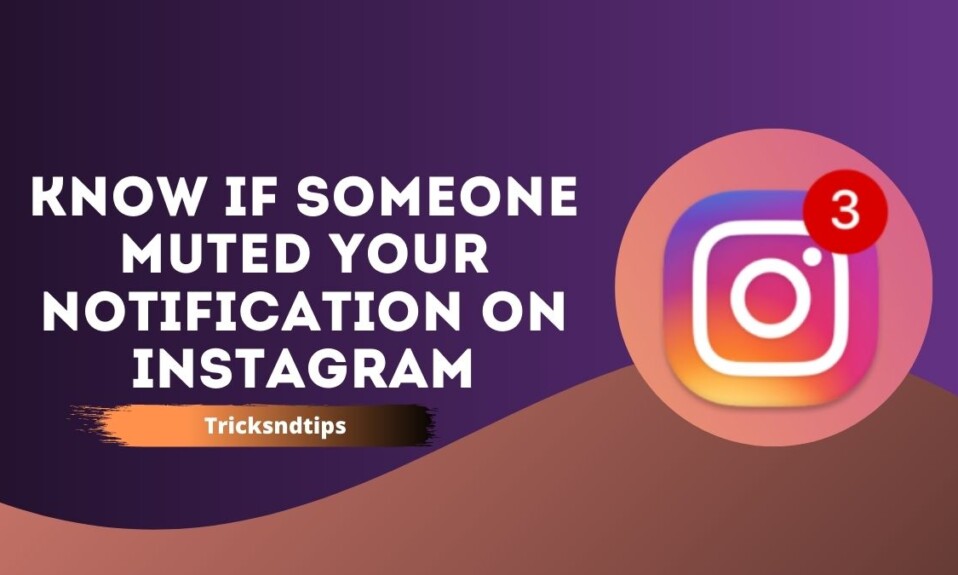 How to Know if Someone Muted Your Notification on Instagram