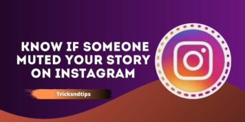 How To Know If Someone Muted Your Story On Instagram ( Quick & Working Ways ) 2023