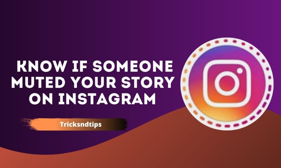 How To Know If Someone Muted Your Story On Instagram