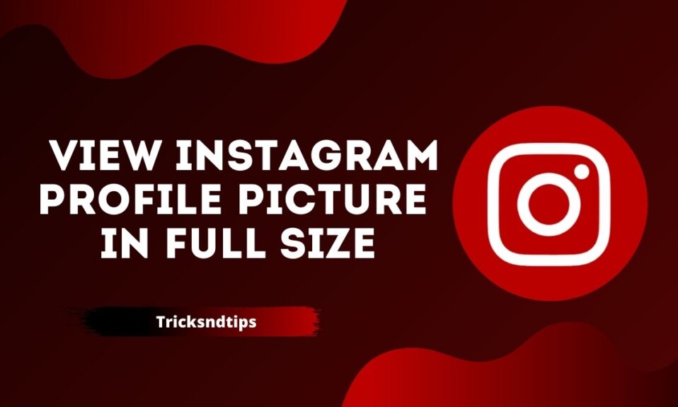 How to View Instagram Profile Picture in Full Size