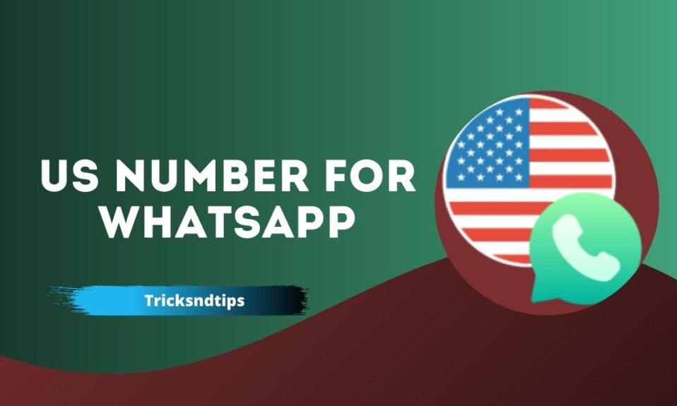 US Number for WhatsApp