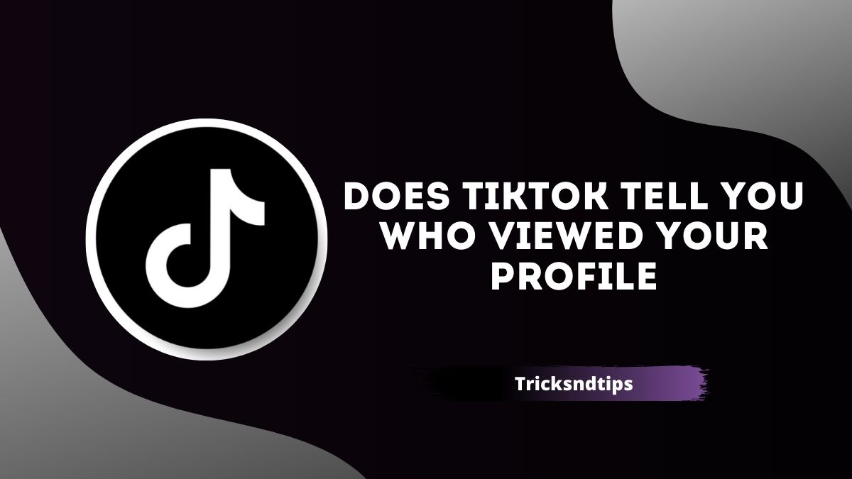 Does Tiktok Tell You Who Viewed Your Profile ( Detailed Guide ) 2023