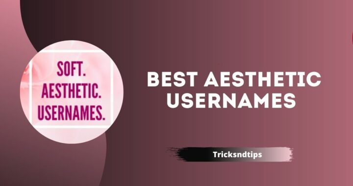 795 + Soft, Cute, and Best Aesthetic Usernames‍ ( Latest & Unique )