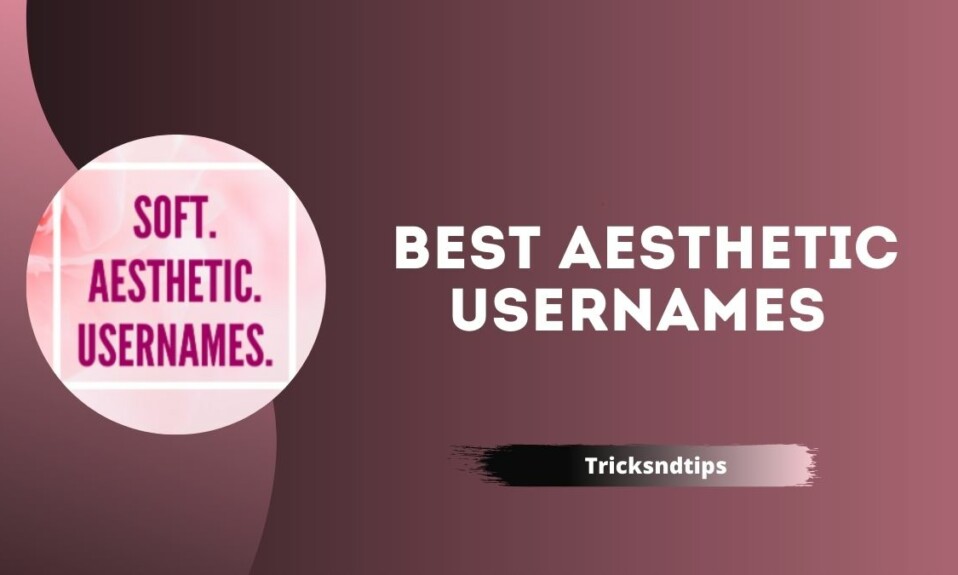 Best Aesthetic Usernames‍