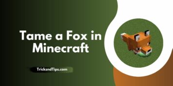 How to Tame a Fox in Minecraft ( Simple & Working Tricks )