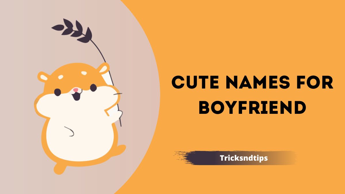 Cute Names for Boyfriend