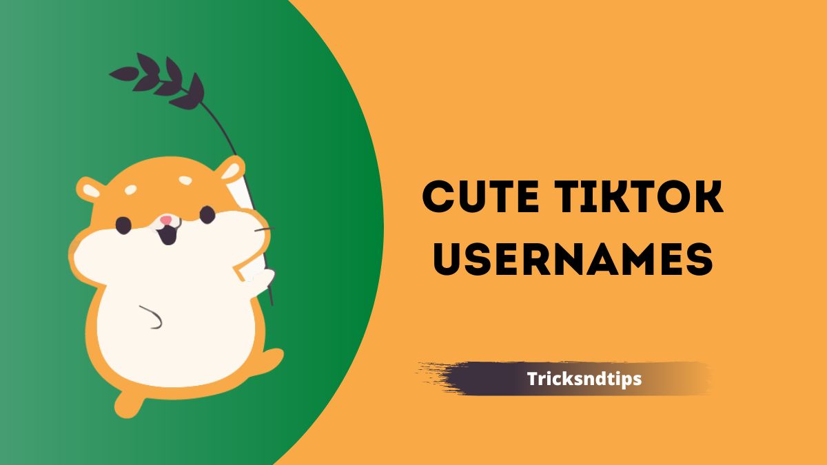 Cute TikTok Usernames