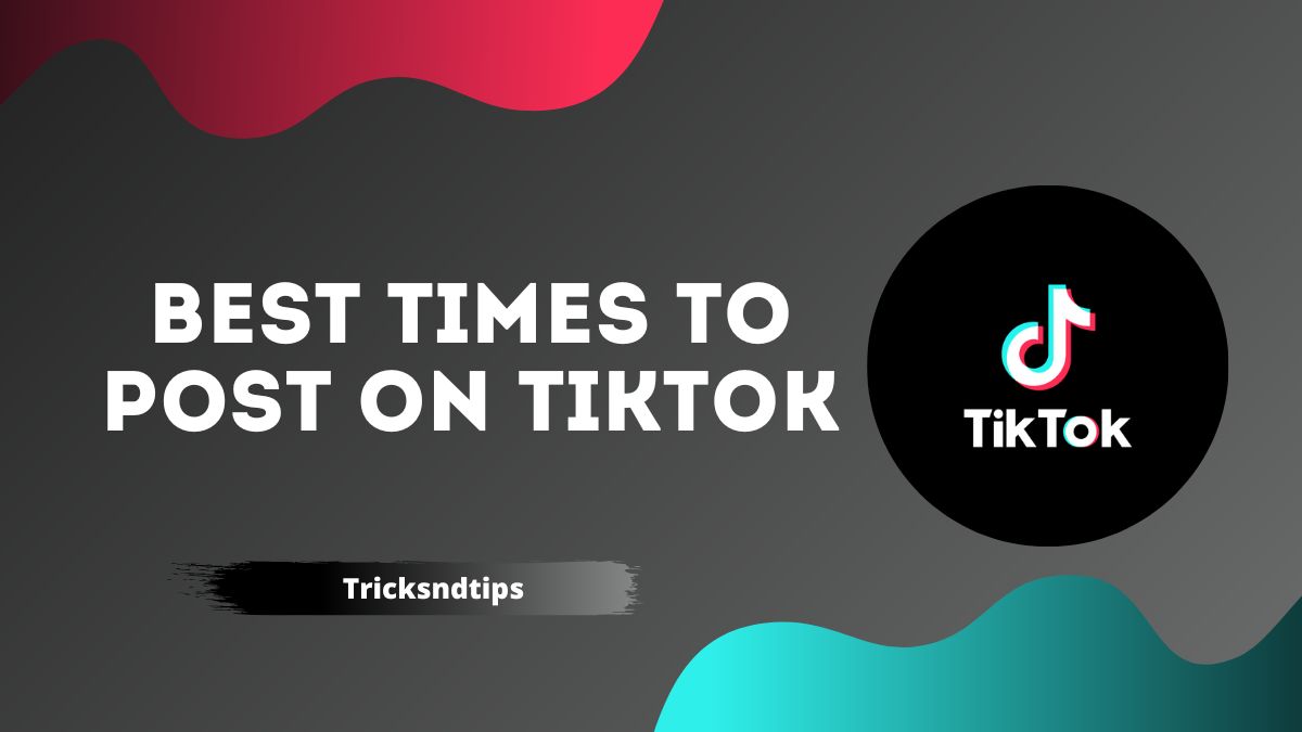 Best Times to Post on TikTok in 2022 ( Detailed Guide)