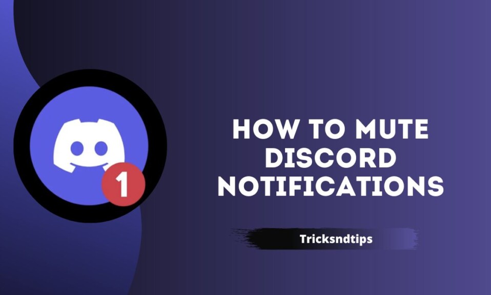 How to Mute Discord Notifications