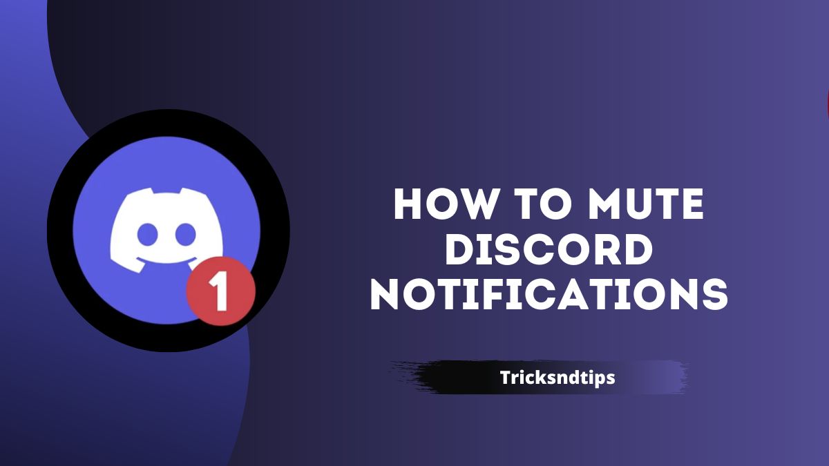 How to Mute Discord Notifications? ( Super-Fast & Simple Ways )