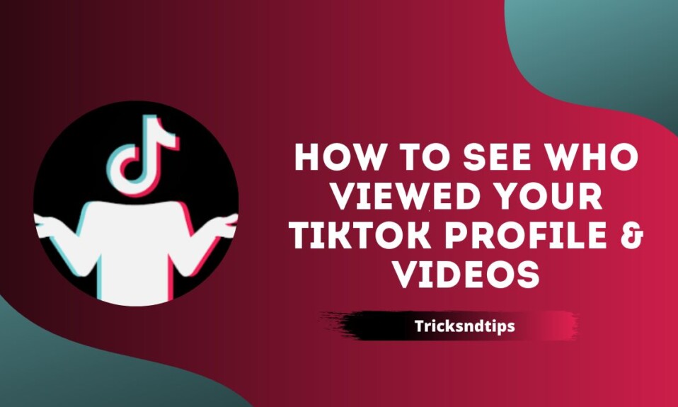 How to see who viewed your TikTok Profile & Videos