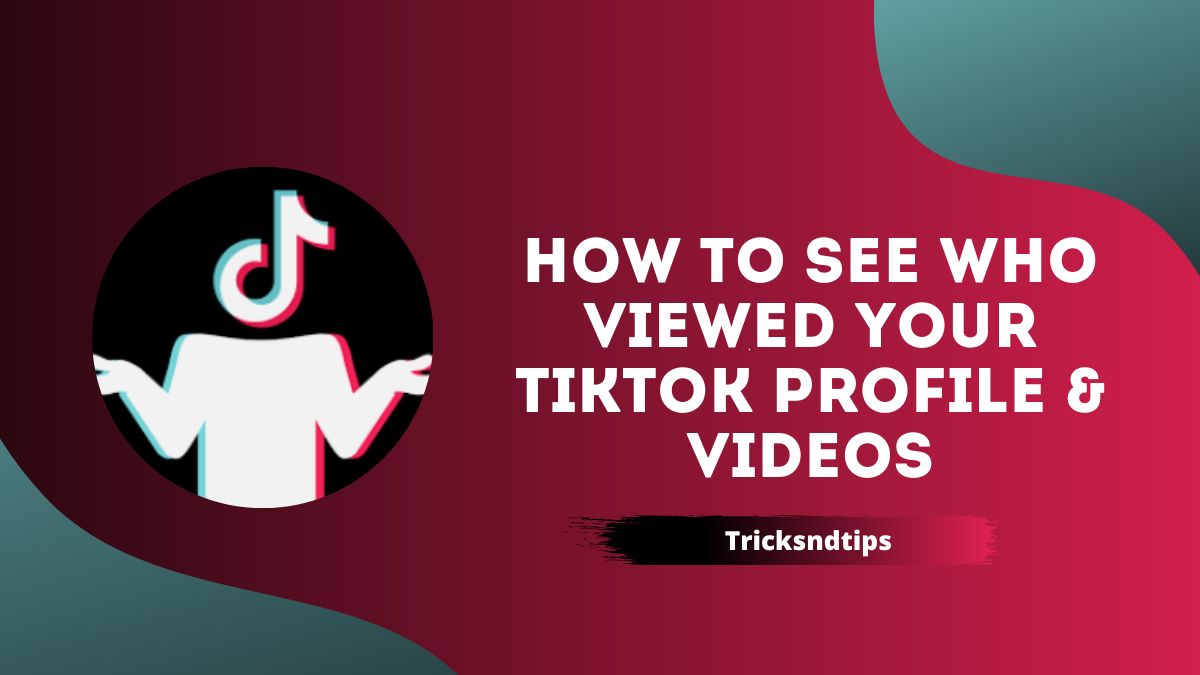 Cómo ver quién vio tu perfil y videos de TikTok (100 % consejos prácticos) 2023