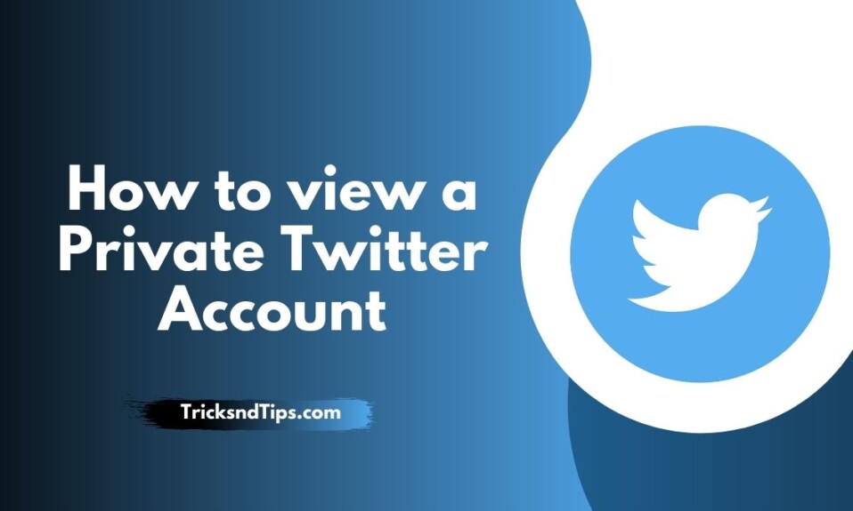 How to view a Private Twitter Account