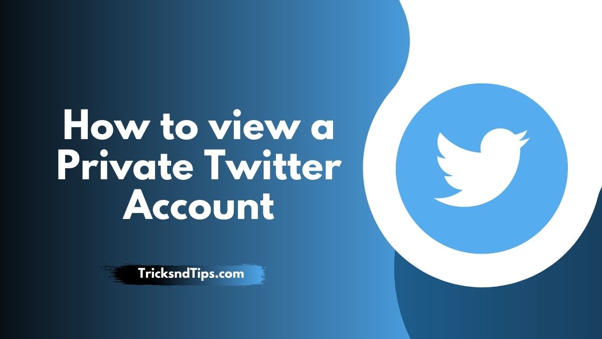 How to View a Private Twitter Account ( Quick & Easy Method )