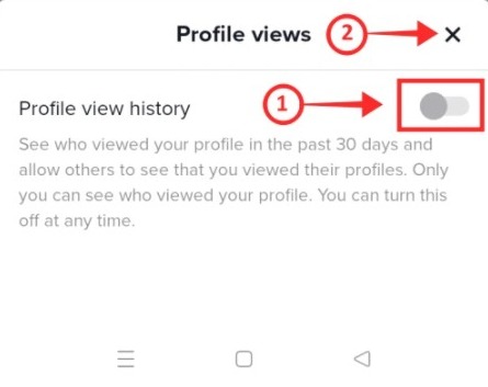 Haga clic en "Vista de perfil" y abra el "Historial de vista de perfil" moviendo el dibujo a verde.