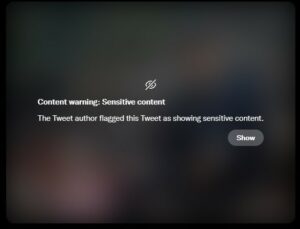 How to Turn Off “This Tweet might include sensitive content” on Twitter