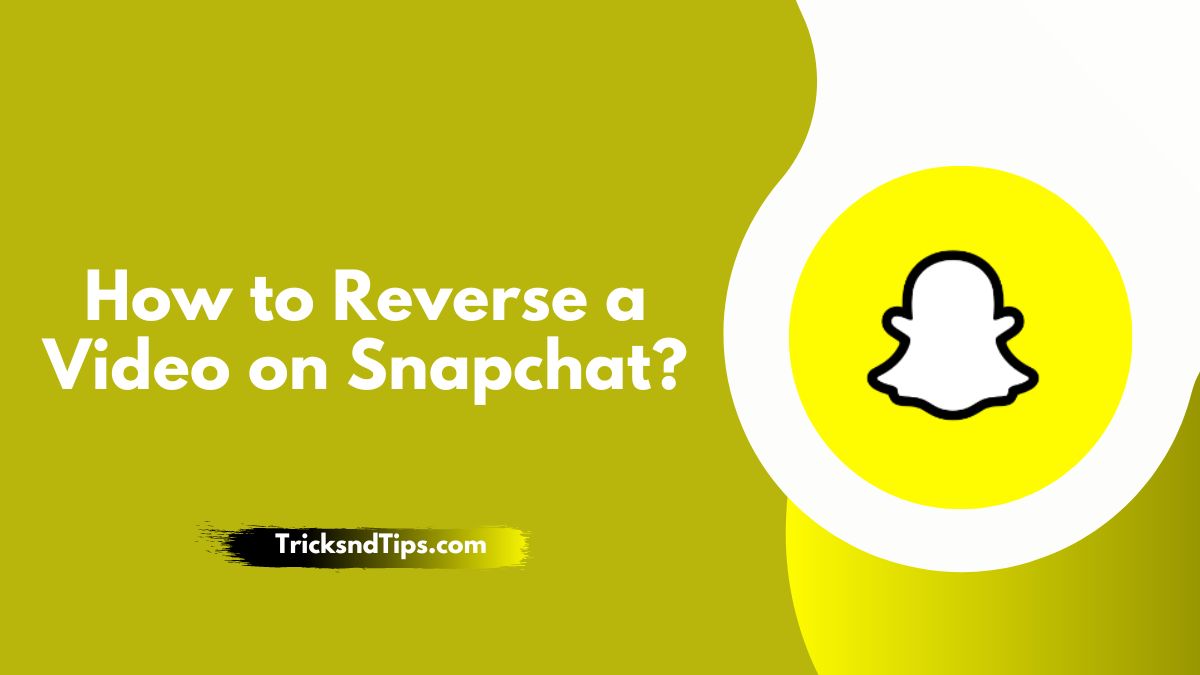 How to Reverse a Video on Snapchat? ( Full Detailed, Step-by-Step Guide ) 2023