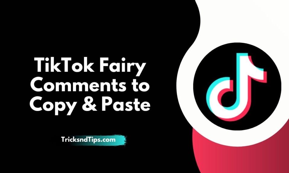 TikTok Fairy Comments to Copy & Paste