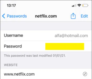 Find Netflix password iOS/iPad operating system