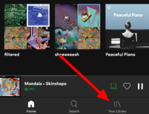 
how to download music from spotify to phone