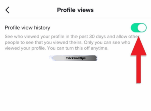 
how to view someone's tiktok profile without them knowing