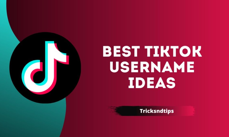 Best TikTok Username Ideas