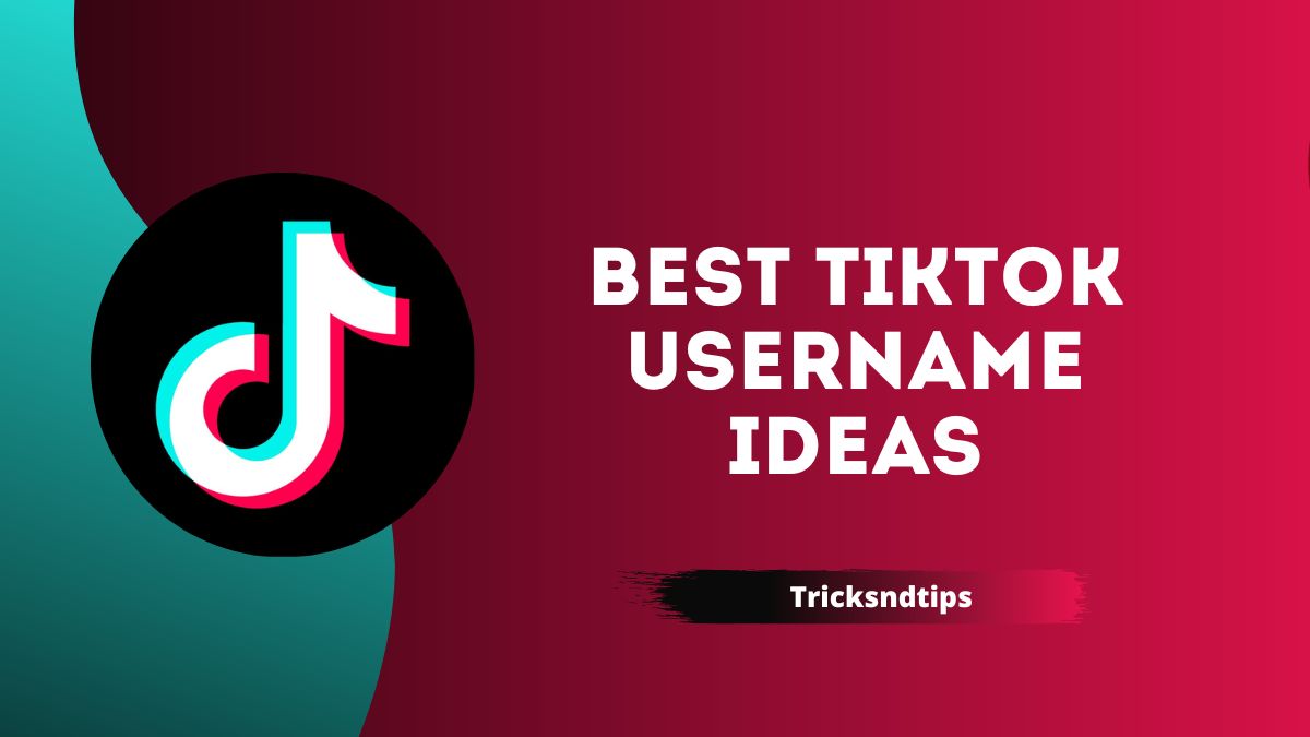 1842+ Best TikTok Username Ideas (Catchy & Trendy Names) 2023